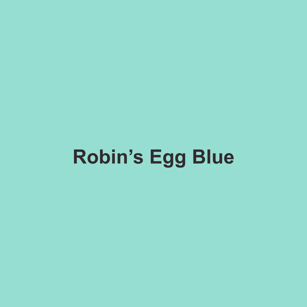 #96DED1 solid color swatch labeled Robin’s Egg Blue