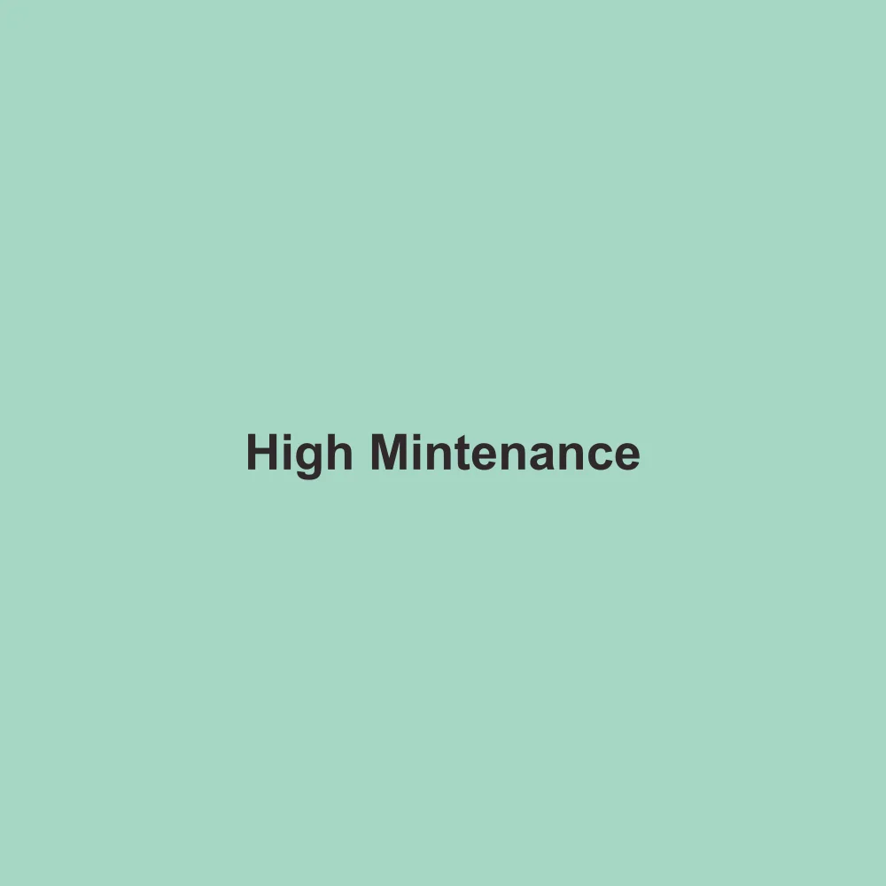 #A6D7C5 solid color swatch labeled High Mintenance