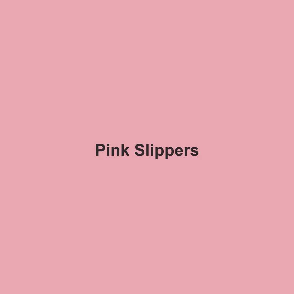 #E8A6B2 solid color swatch labeled Pink Slippers
