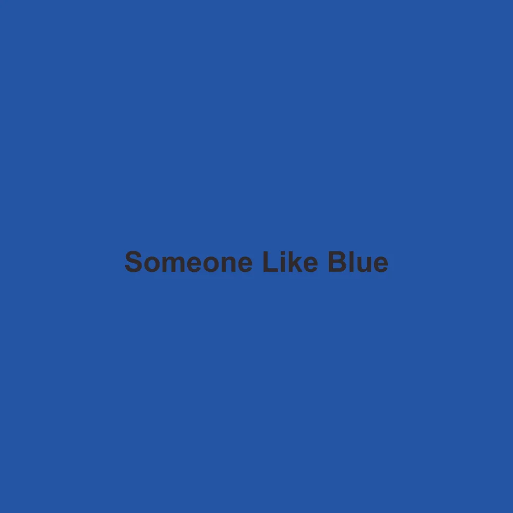 #2455A4 solid color swatch labeled Someone Like Blue