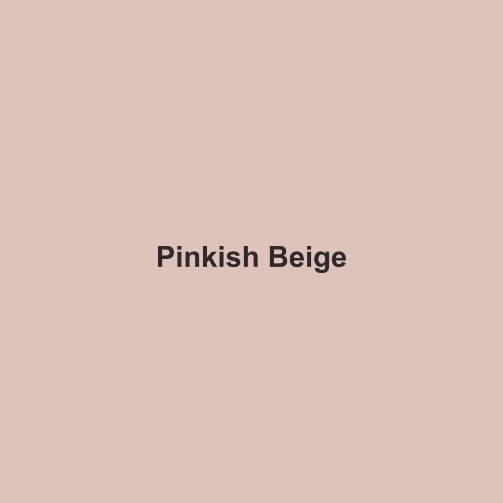 #DDC3BA solid color swatch labeled Pinkish Beige