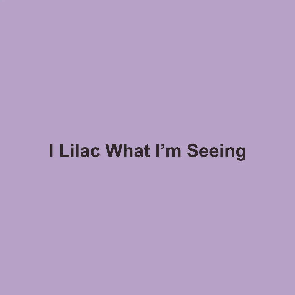 #B5A2C7 solid color swatch labeled I Lilac What I’m Seeing