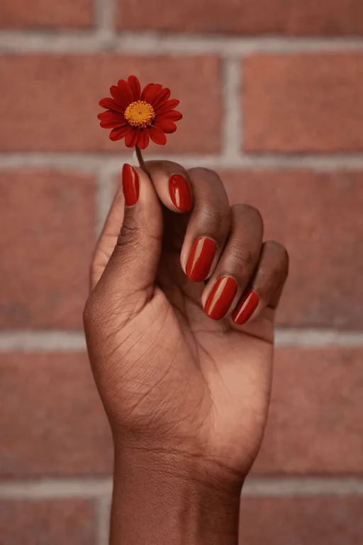 Deep red nails holding red daisy